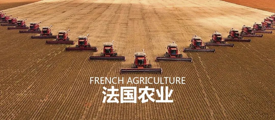 法国农业：欧盟农业大国，，，靠这6大战略制胜市场
